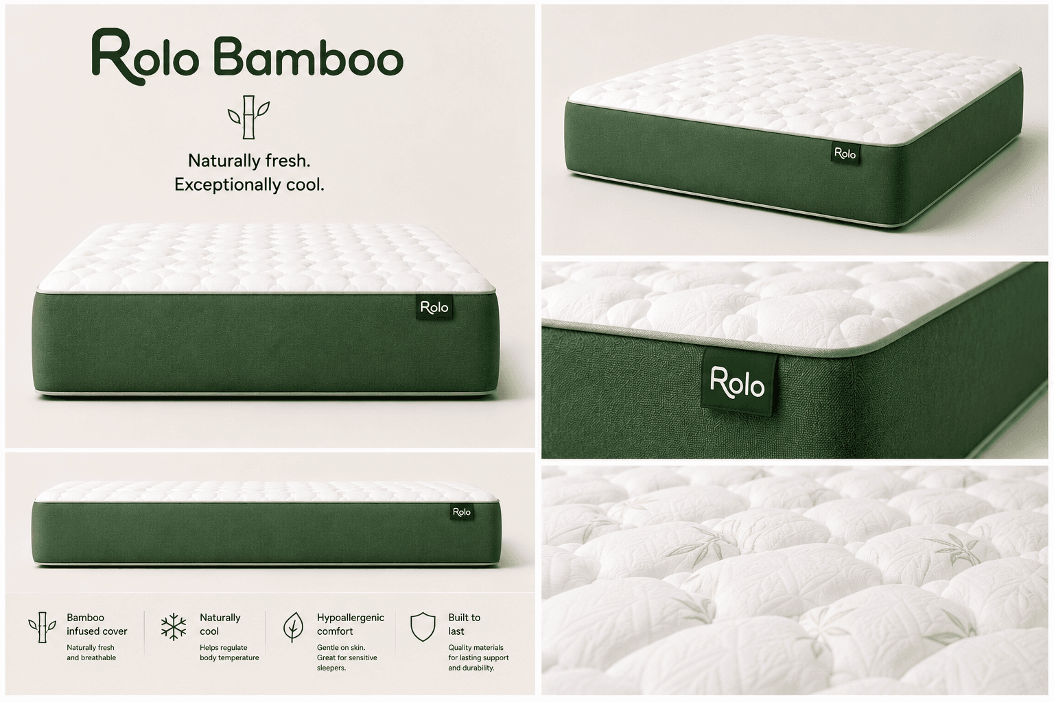 ROLO BAMBOO — Hero view